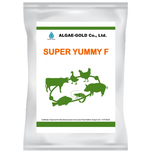 Algae-Gold_SUPER YUMMY F Algae-Gold_SUPER YUMMY F